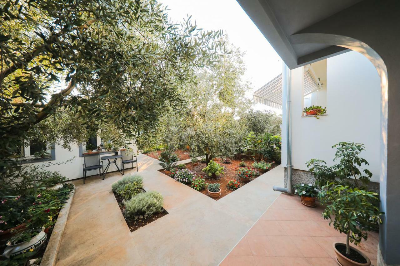 Apartman Antisin Zadar Exterior photo